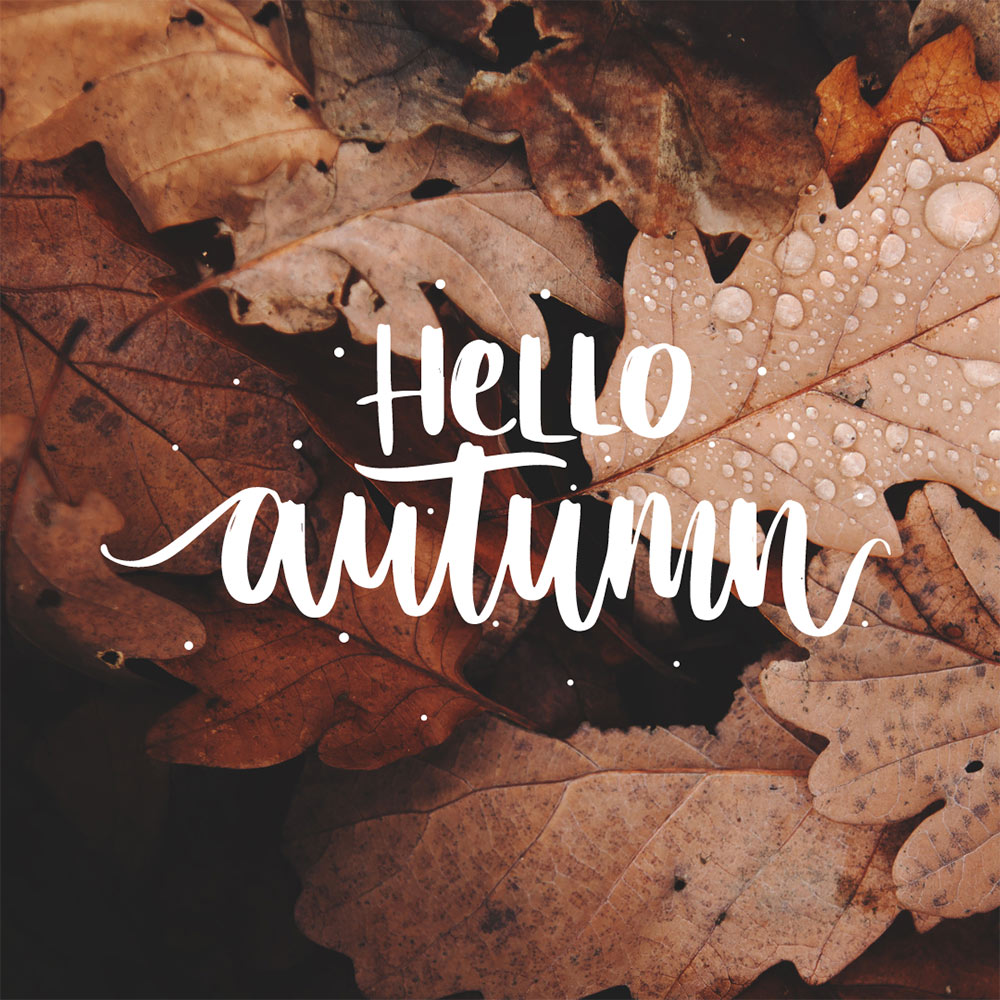 Makeup and Beauty Blog Monday Poll, Vol. 849 dlvr.it/TDb03H