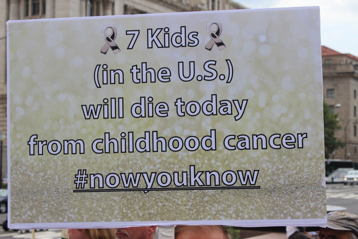 Happy Quail tweet media