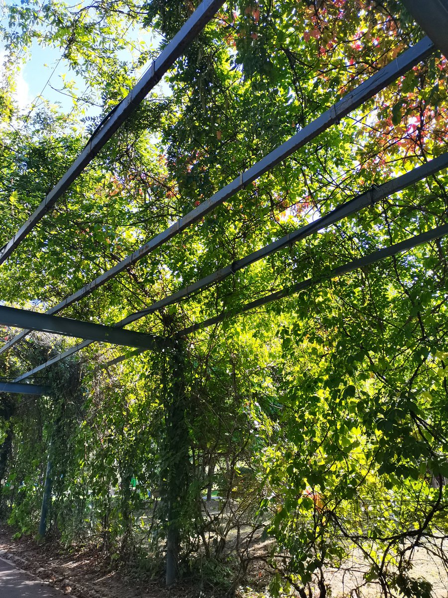 Amoniony's tweet photo. https://t.co/Lcoghv6BQu