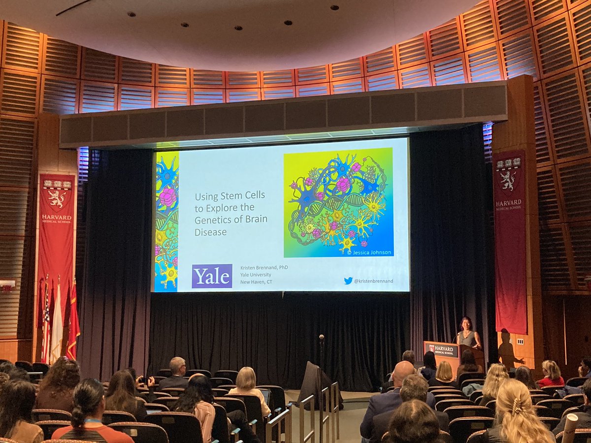 Dr. Kristen Brennand @kristenbrennand, Professor of Psychiatry and Genetics at <a href="/YaleMed/">Yale School of Medicine</a>, gives a rather insightful talk on the intersection of #genes and #environment on the acquisition of #neuropsychiatric and #neurodevelopmental #disorders #RSZTNCSymposium2024