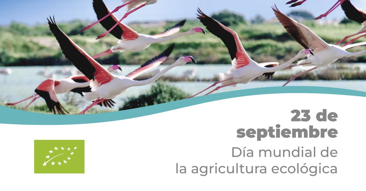 AsoSalimar's tweet photo. Hoy en SALIMAR💚, además de celebrar el solsticio de otoño, día en el que la noche y el día duran lo mismo, celebramos también el día de la #AgriculturaEcológica 🌱.
#DiaMundialDeLaAgriculturaEcológica #Salimar #Ecología #SalinasMarinasdeEspaña #Medioambiente #SalMarina https://t.co/XJBFdTUTvo