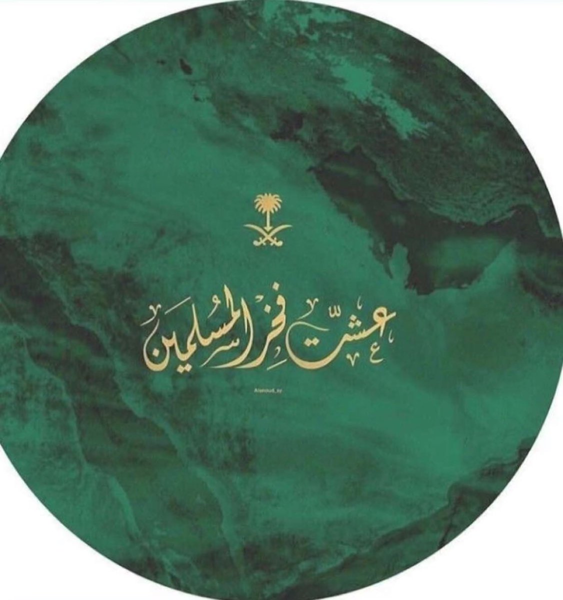 موطني 🇸🇦💚💚💚