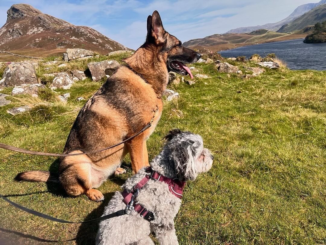 Truffles_999's tweet photo. What a week of adventure for Truffles and big sister! 💕 here’s to many more years of fun 💕 https://t.co/PP1N2OXBww