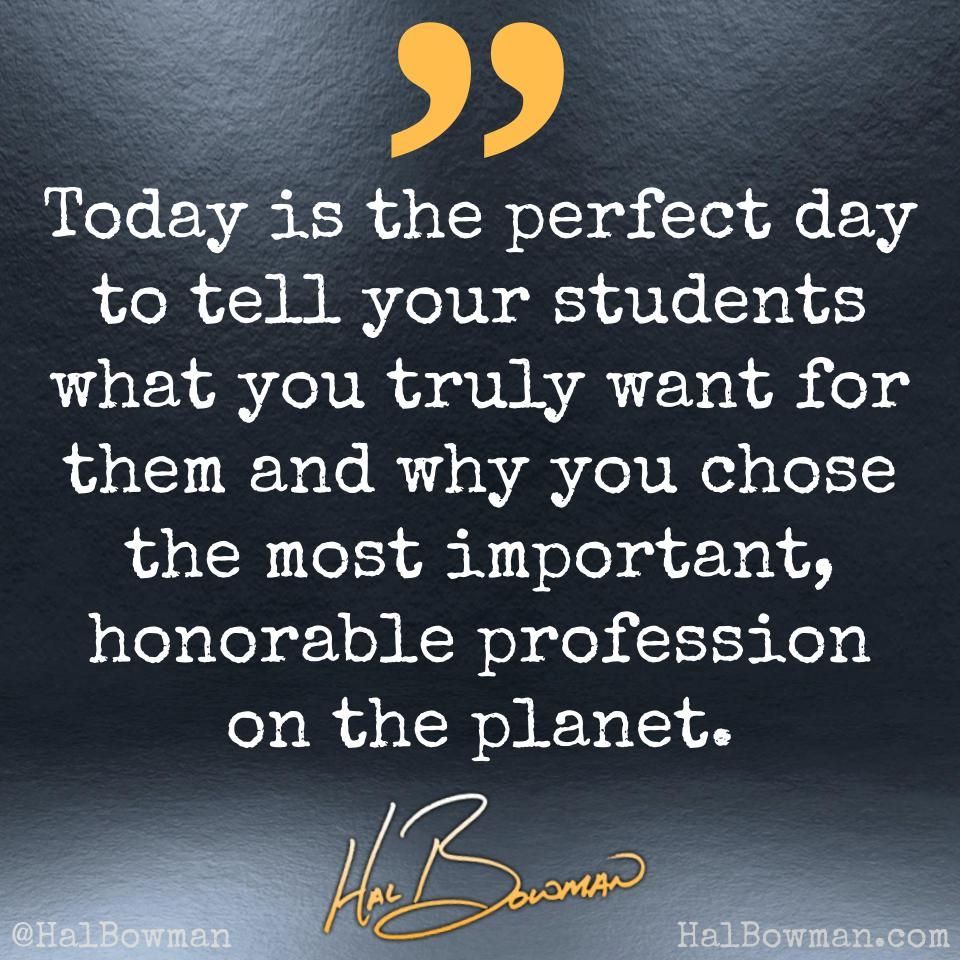 Hal Bowman tweet media