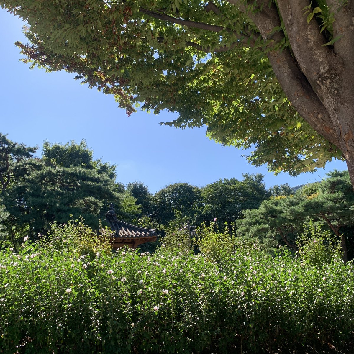 이 날씨에 내가 여기서 걷고 있는 그 자체가 좋았다.🍂🍁