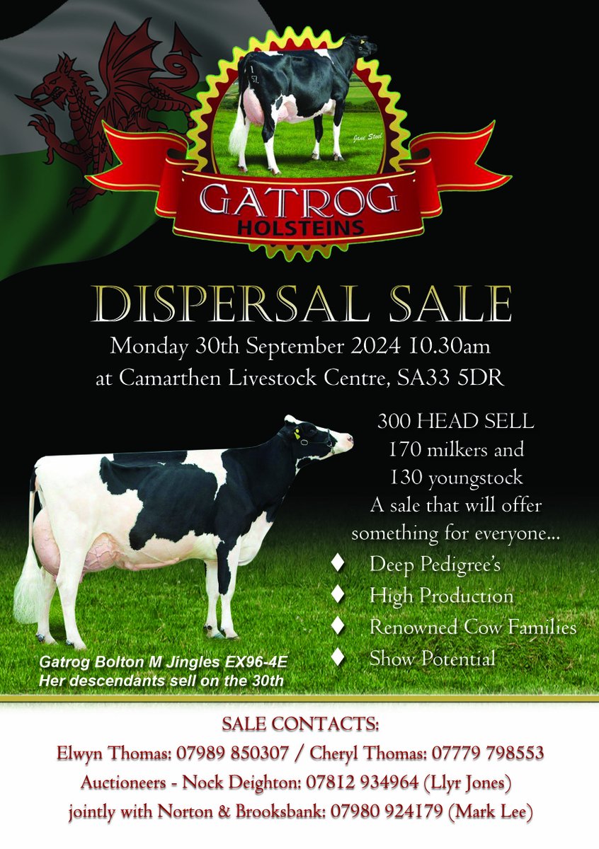 HolsteinUK's tweet photo. Sponsored content as part of the Breeder Advertisement Package. 

To advertise your herd in the Journal, contact felicitycoates@ukcows.com https://t.co/bHj72UkTCR