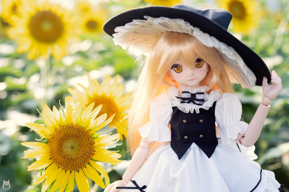 meroco_moe's tweet photo. Volks MDD 霧雨魔理沙 https://t.co/nFuTR42Wj6