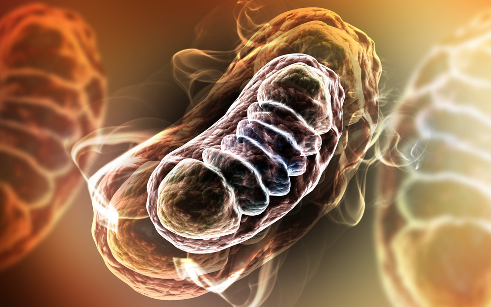 ccm_bio's tweet photo. CCM Biosciences Announces Launch of Protein Upregulation Business Unit

https://t.co/gJ0SHudvKx

#longevity
#drugdiscovery https://t.co/rAREkKF6Hk