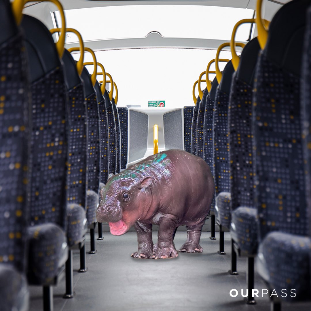 We had a real life celebrity on the bus today! 😱 Hopefully the journey wasn't too stressful for her 🥺