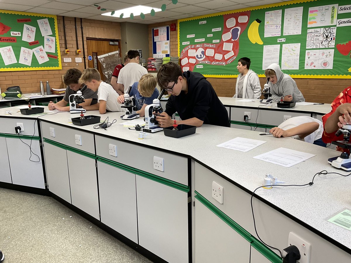 CCSBScience's tweet photo. #CCSBYear9 have been using microscopes to learn more about a variety of different types of cells as they embark on their GCSE Biology adventure! #CCChallenge #CCExplore https://t.co/lAuOvChzMK