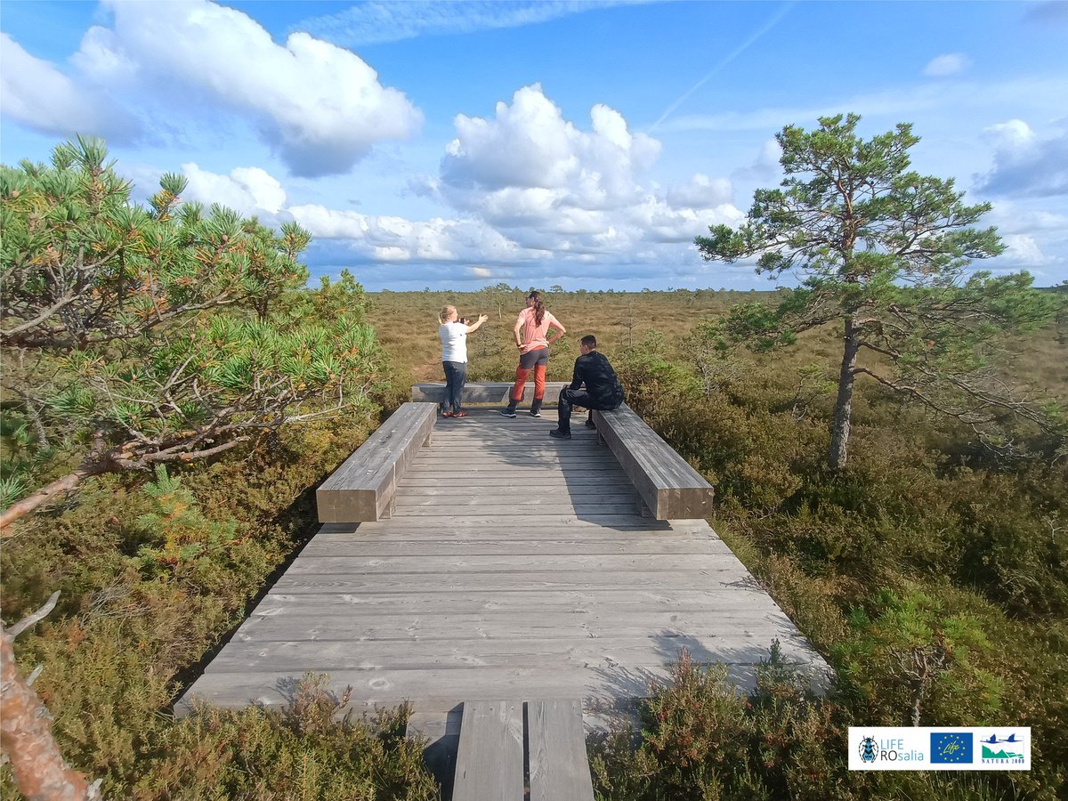 #LIFEROsalia project team had the opportunity to exchange experience with a similar LIFE project: WoodMeadow LIFE Project (LIFE20 NAT/EE/000074) implemented in Estonia and Latvia.

#nature #conservation #sustainability #woodedmedows
#Together4Nature 
#LIFENature #LIFEProgramme