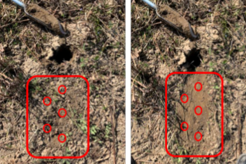 EJP_SOIL_CH tweet media