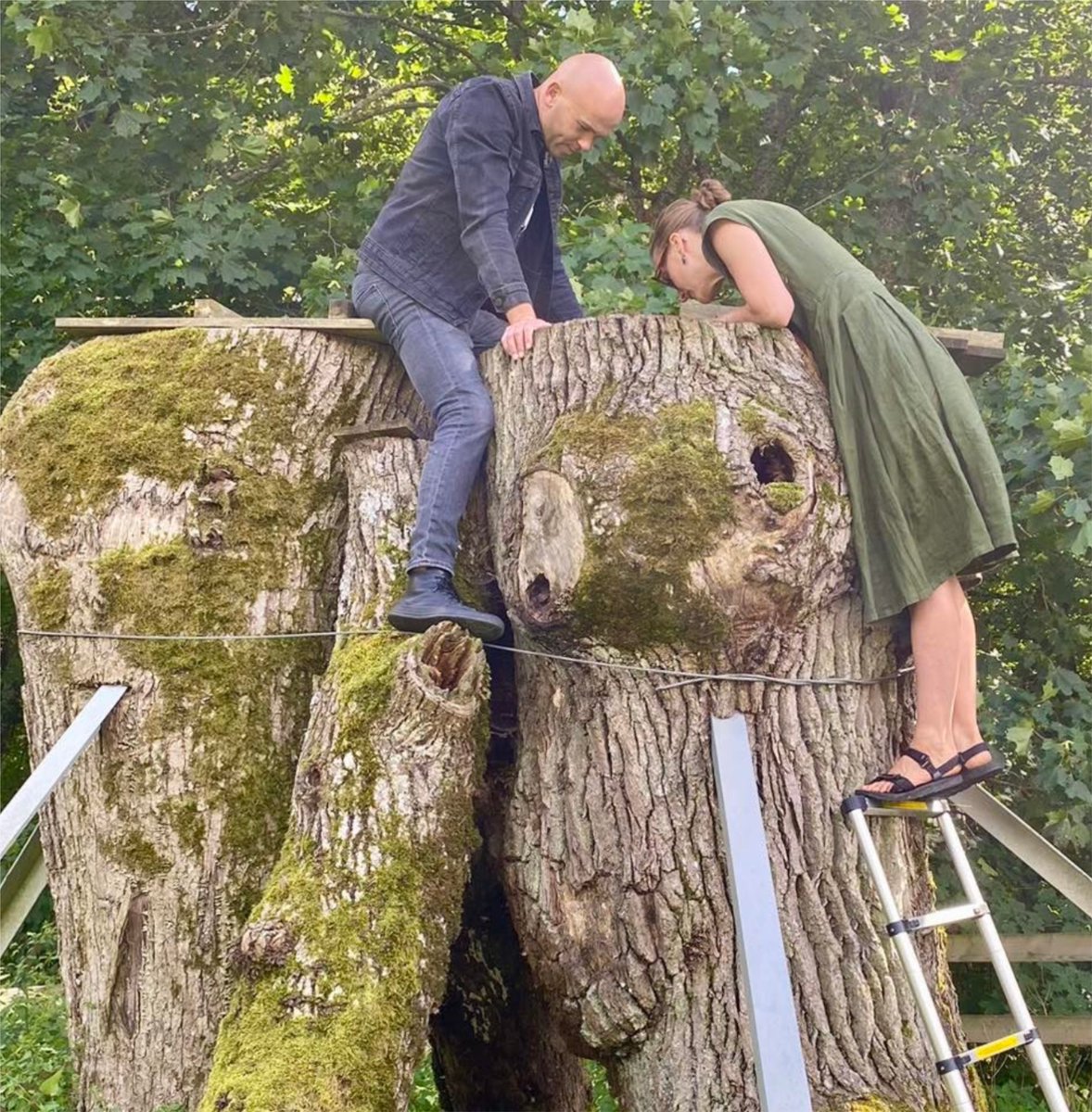 We had the opportunity to exchange experience with the project LIFE16 NAT/LT/00070 Ecological network for #Osmodermaeremita and others species dependent on #veterantrees implemented in Lithuania.  

#nature #conservation  
#Together4Nature 
#LIFEROsalia #LIFENature #LIFEProgramme