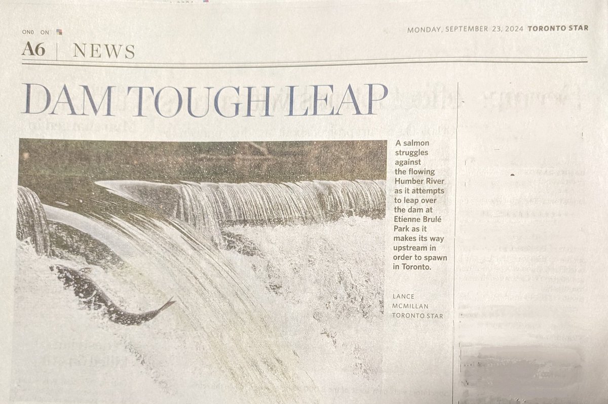 Warren Park OEC (@warrenparkoec) on Twitter photo It's time to marvel at and cheer for the salmon! See you at the Humber. Book a trip today. <a href="/TOES_TDSB/">TOES_TDSB</a> It's time to marvel at and cheer for the salmon! See you at the Humber. Book a trip today. <a href="/TOES_TDSB/">TOES_TDSB</a>