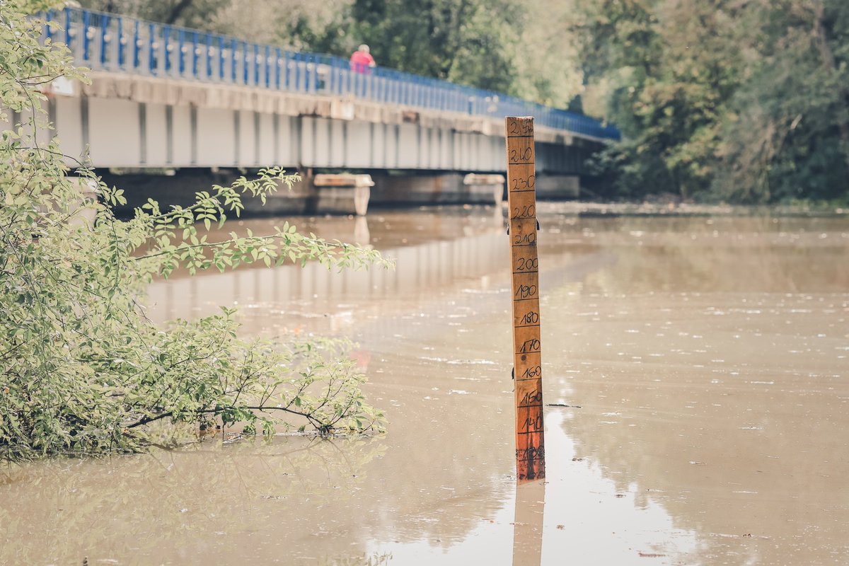 Konrad Dąbkiewicz tweet media