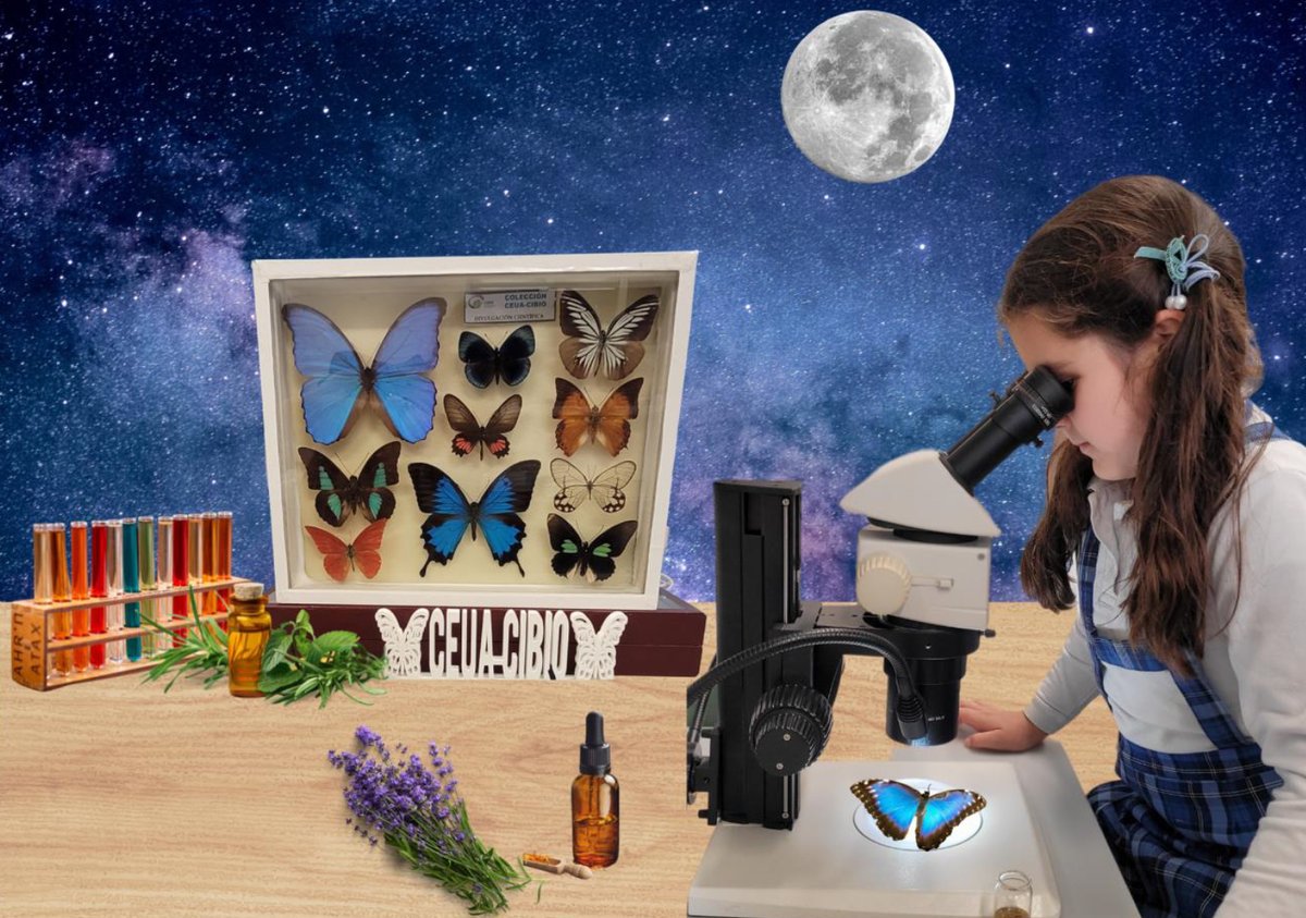 🅔🅢🅣🅐🅝🅓 ❷❽
➡️ DESCOBREIX ELS SECRETS DELS INSECTES I LES PLANTES: LA IMPORTÀNCIA DE CONSERVAR UN MÓN BIODIVERS

👩‍🔬 Cinta Quirce Vázquez, <a href="/IUCibio/">Cibio</a> 
☑️ Taller

#EuropeanResearchersNight <a href="/UA_Universidad/">Universidad de Alicante UA</a>
<a href="/FECYT_Ciencia/">FECYT</a> <a href="/ScienceGTS/">Science GTS</a> 

ℹ️ divulga.ua.es/va/secciones/n…