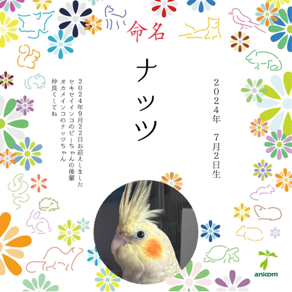 da_rinrin27's tweet photo. https://t.co/PYCHW6eajN