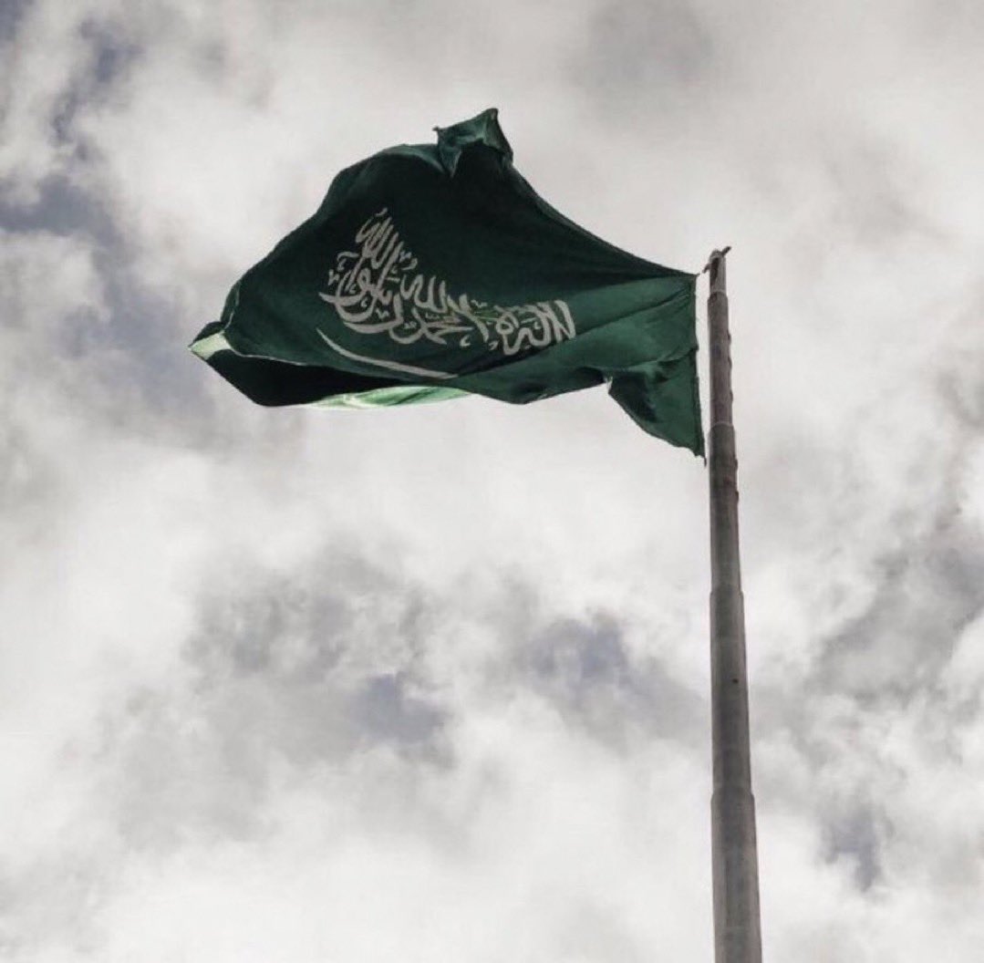 سلام يابيرق . . يضم الشهادة 
ماينتكس في يوم تنكيس الأعلام 🇸🇦🤍