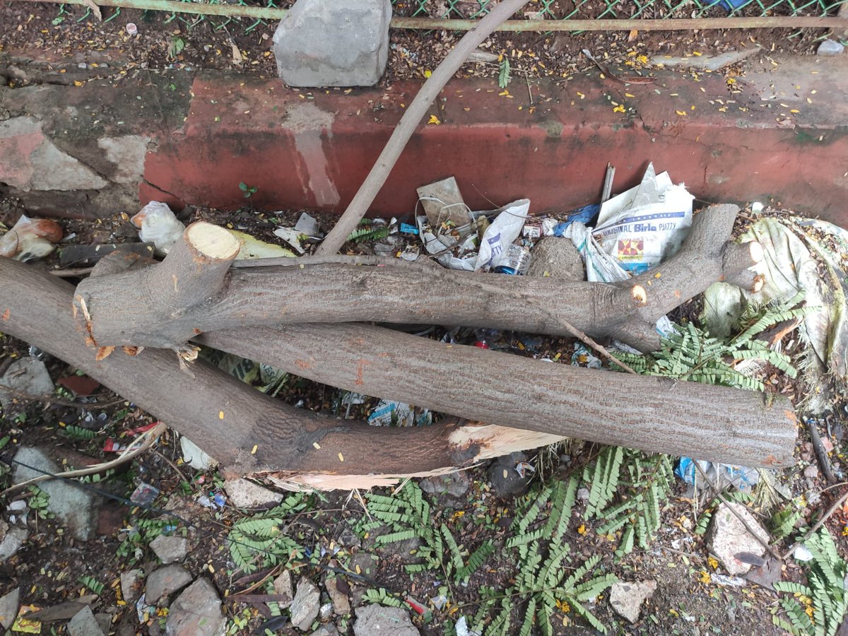 ILYASSHAMSI's tweet photo. Low Hanging wires posing danger to motorists at NMDC Qur'an foundation lane @GHMCOnline @CommissionrGHMC @gadwalvijayainc @NDRFHQ 
GHMC employees asking money to remove debris https://t.co/YDXXtHp24m