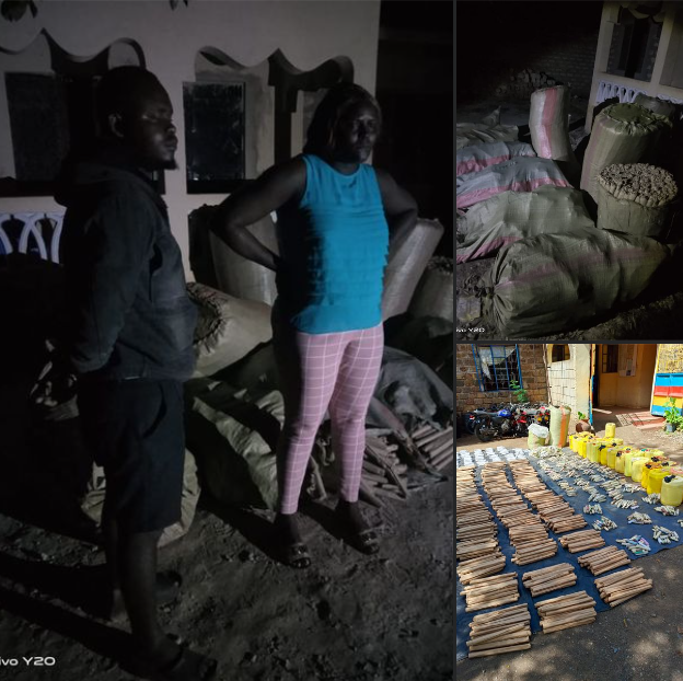 gtntv_kenya's tweet photo. Detectives from the Anti-Narcotics Unit Mombasa and DCI Diani have arrested two notorious drug traffickers in Diani's Chief area, seizing over Sh9 million worth of marijuana.
#GtnTvDigital
Sifuna
Kikuyus
Arsenal
Charles Owino
Cate Waruguru
Oscar Sudi
Tanzania https://t.co/Q2nOgTRxos