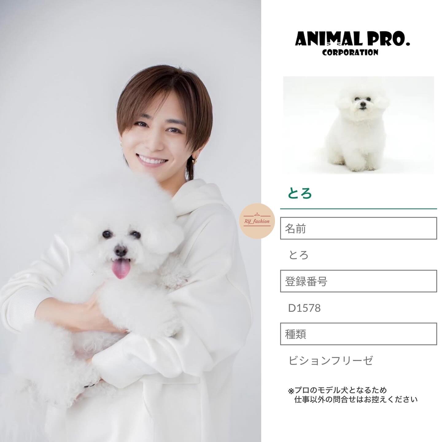 hii様アイボリー1 hii様アイボリー1