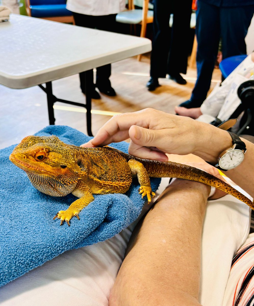 Speech and Language Therapy Fairfield General tweet media