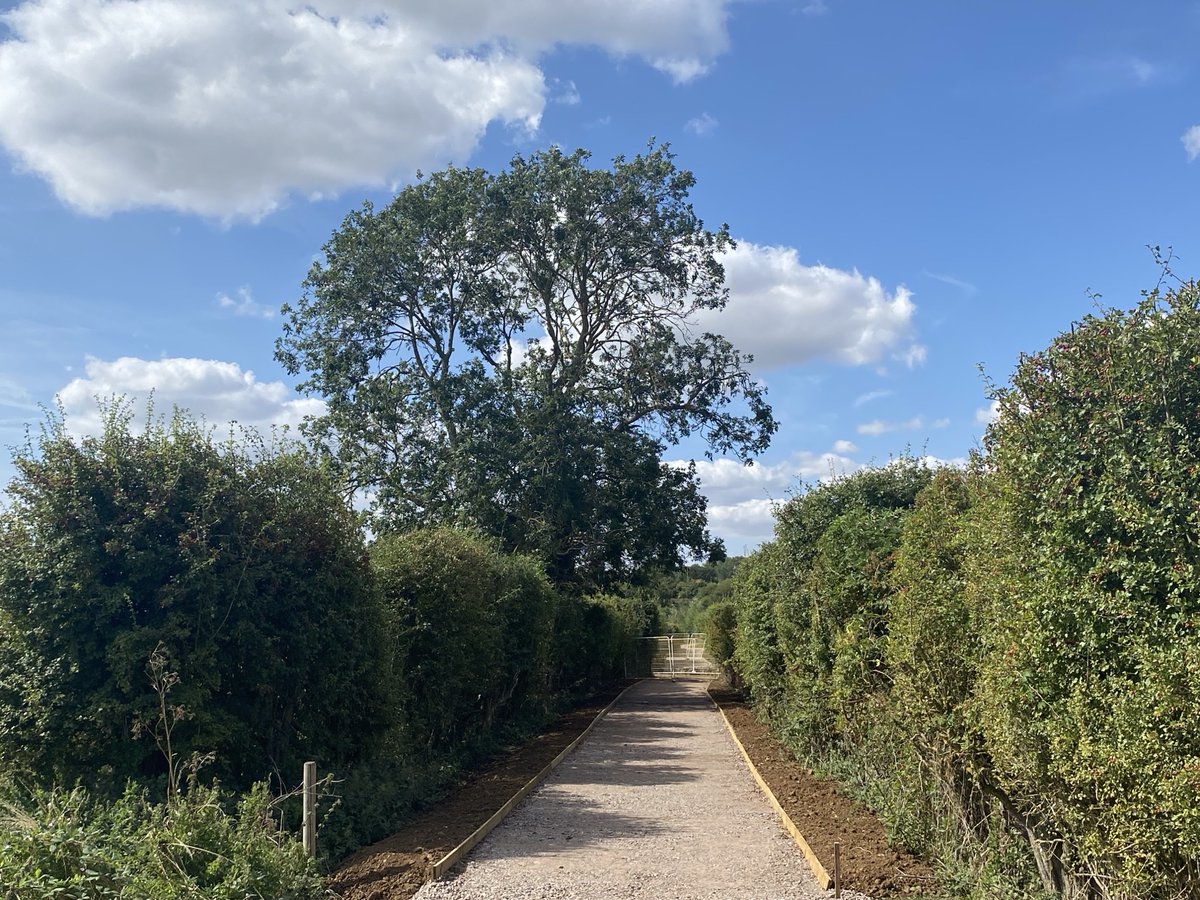 Stanton Cross tweet media