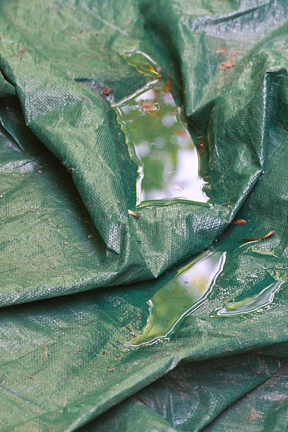 survivalontap's tweet photo. Use a tarp to collect rainwater. Set it up with a slight slope so that water funnels into a container for drinking or cooking.

#TarpWater #Rainwater #Survival #CampingHacks #OutdoorSkills #Prepper #Bushcraft #Adventure #Wilderness #StayHydrated #WaterCollection #DIYHacks #Nature #BePrepared #CampLife #Camping #SurvivalSkills #TrailTips #SurvivalGear #Outdoor #AdventureReady #StaySafe #WaterSource #TrailReady #GearHack #CampingEssentials #HikingEssentials #StayPrepared #OutdoorAdventure #CampingTips #CampSmart