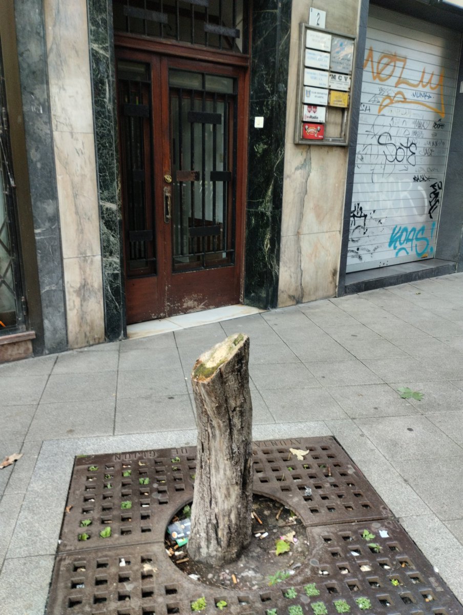 Fernando Gª de Dios tweet media