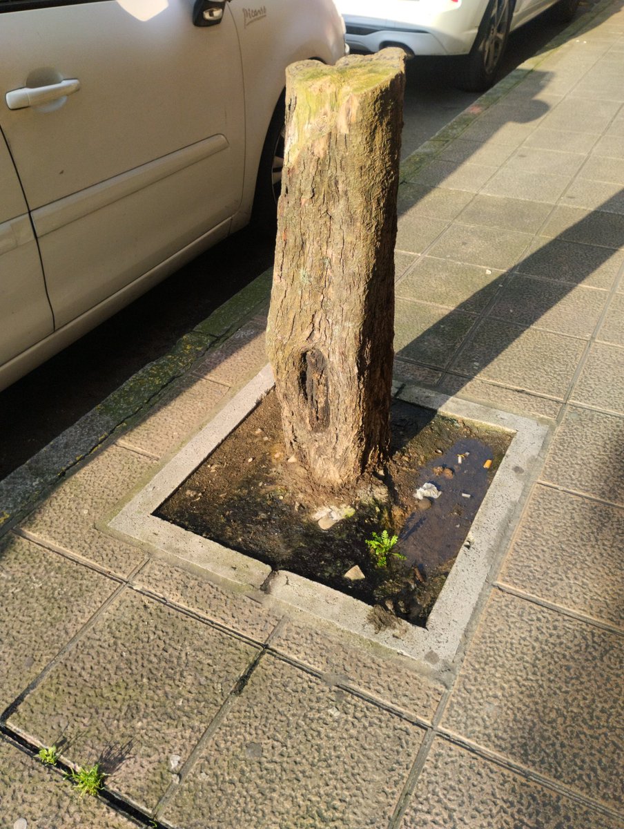 Fernando Gª de Dios tweet media