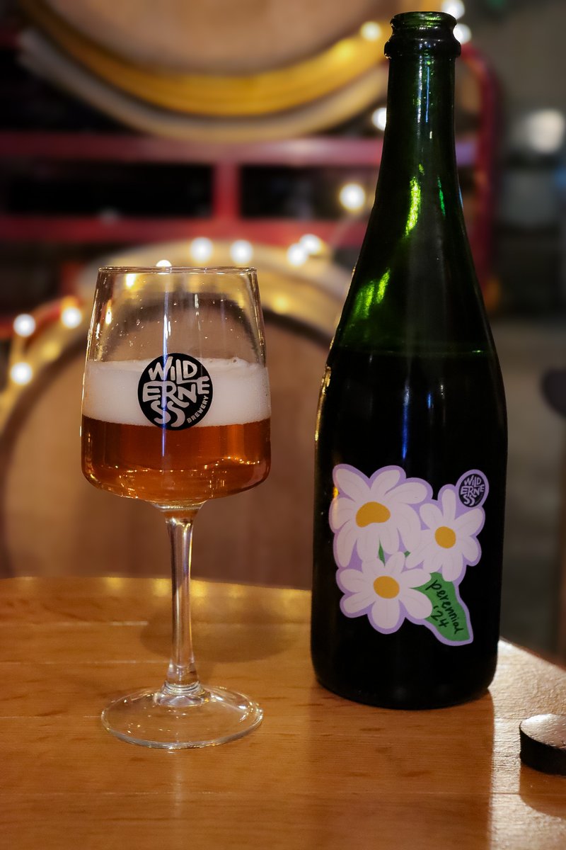 .•*•.•✿ 𝑷𝒆𝒓𝒆𝒏𝒏𝒊𝒂𝒍 ✿•.•*•.

This beer is a product of the land, and the people who made it. A tart and funky blend to celebrate the first five years of Wilderness 𓇢𓆸

Available now via our website and our Sellar trade store 👉🔗