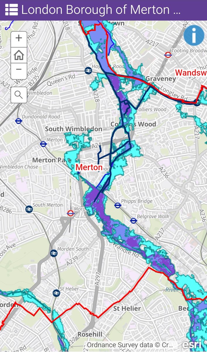 Mark Gale tweet media