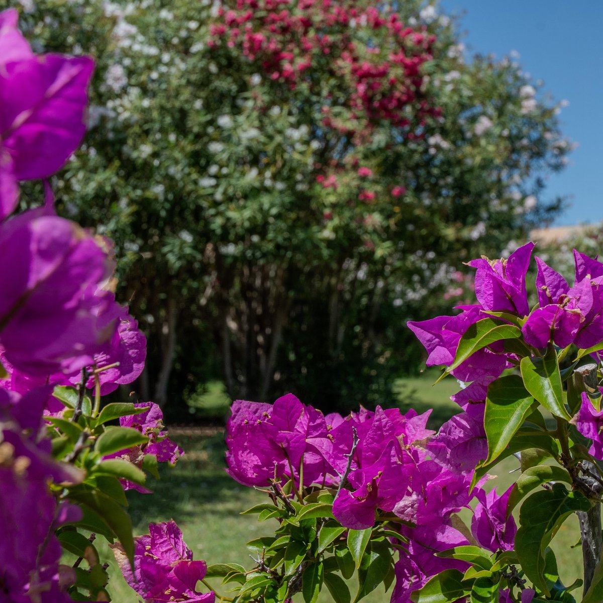 Scopri la magia del VOI Tanka Village: dalla bellezza del verde 🌿 e del sole ☀️ alla freschezza del mare 🌊 e al relax a bordo piscina 🏊 

Ogni angolo del nostro resort è pensato per offrirti un’esperienza indimenticabile. 🤍

#voihotels #voitankavillage #sardegna #italia