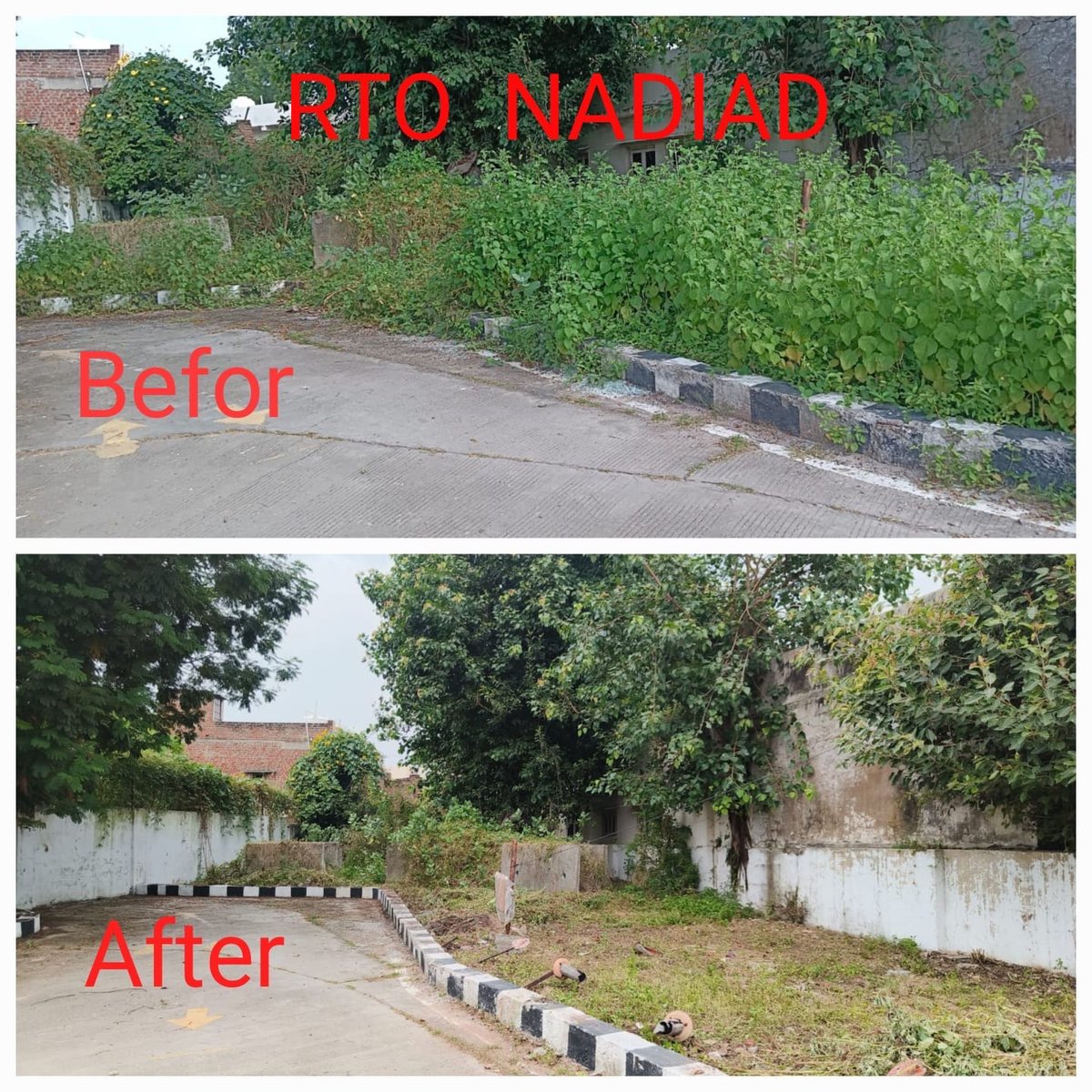 rtonadiad tweet media