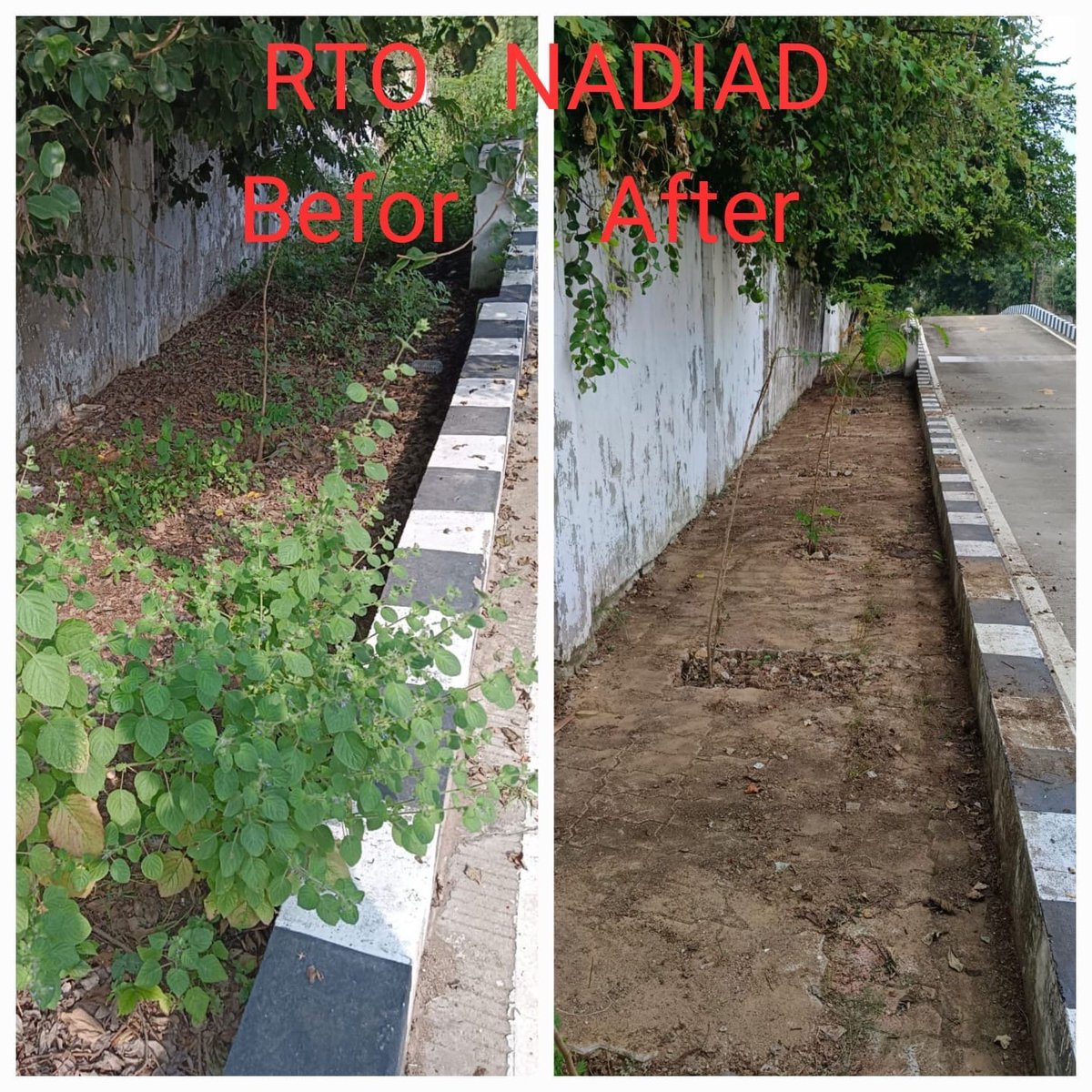 rtonadiad tweet media