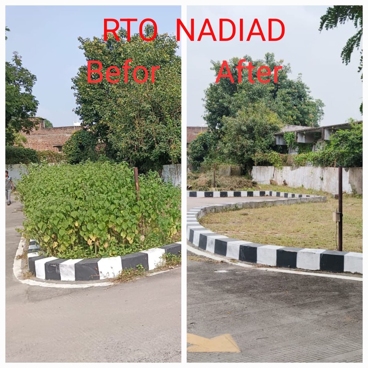 rtonadiad tweet media