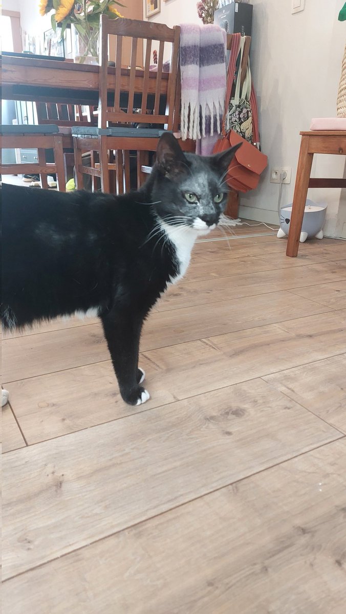 Rogue & Ranger tweet media