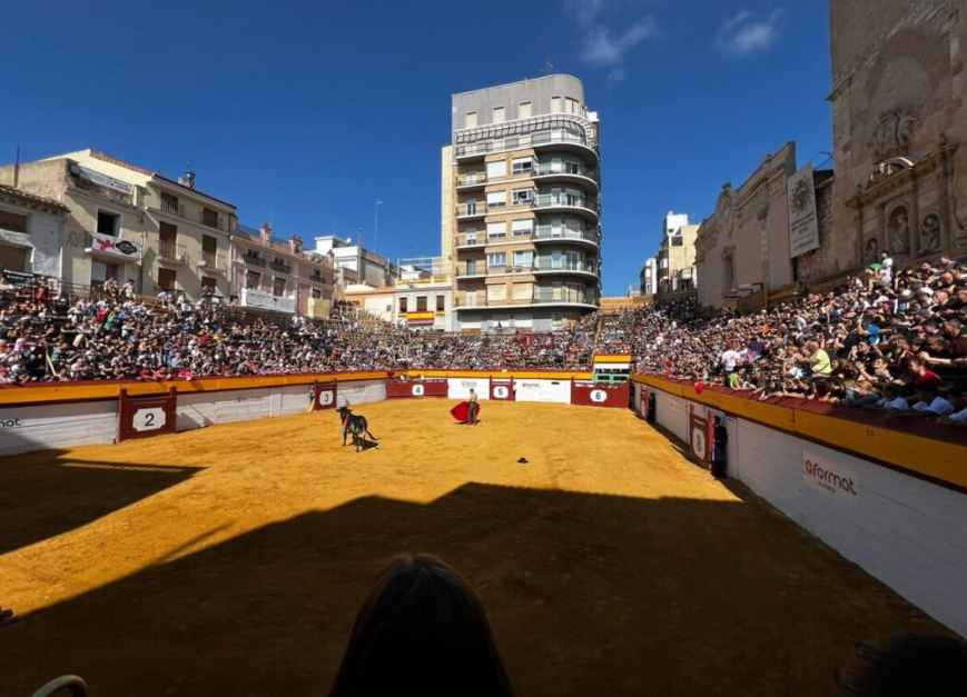 ftorodelidia's tweet photo. 🔴 ¡Otro fin de semana con miles de personas acudiendo a los toros!

Si hay un clamor en España es este: la cultura no se censura. Y la tauromaquia es cultura que une. https://t.co/ESMatto6eJ