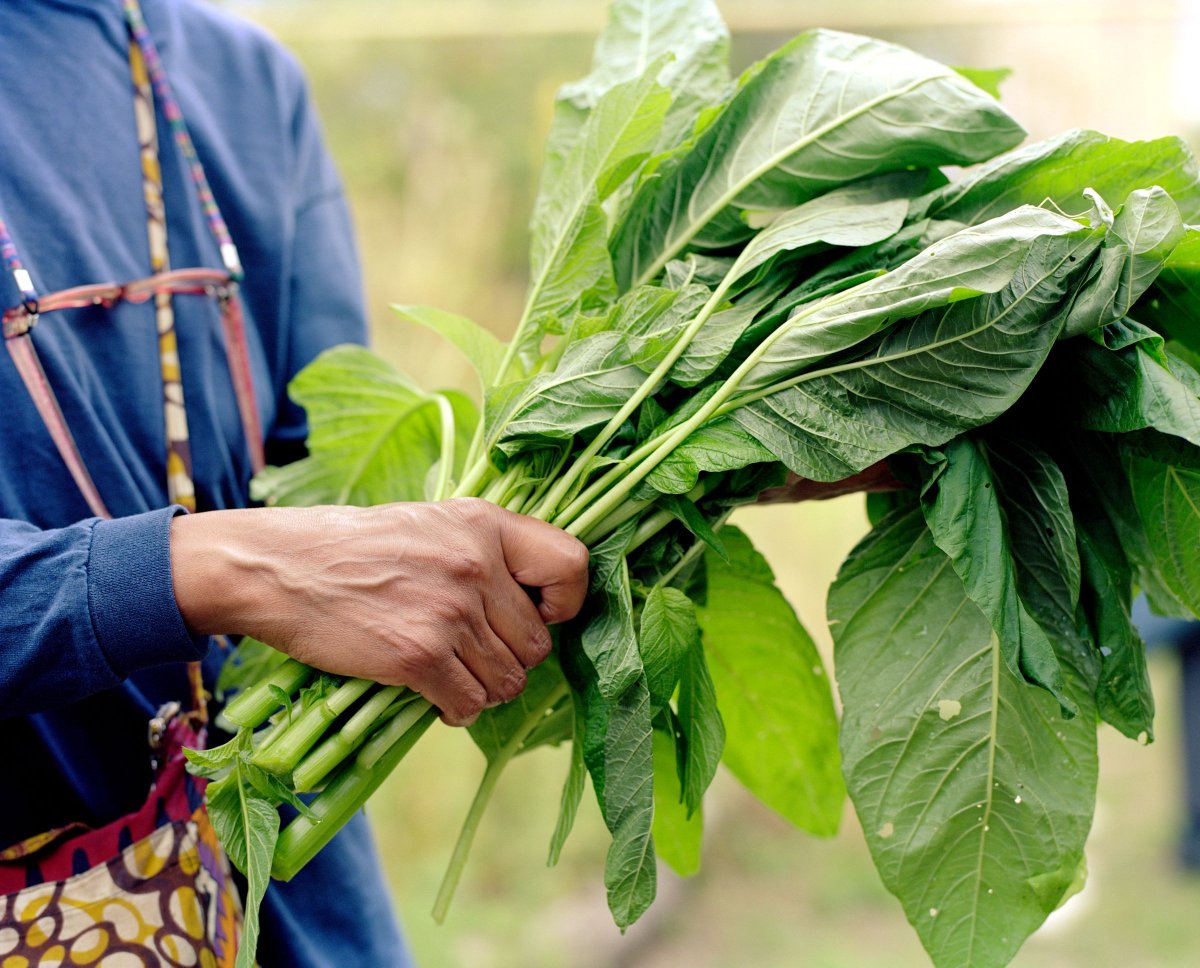 O N C A (@onca_arts) on Twitter photo Come & learn about the inspiring communities growing callaloo, sweet potato, squash & tomatillo in an exhibition by Arpita Shah 🌱 🍅 As always this exhibition is completely free to visit & forms part of Brighton's <a href="/PhotoFringe/">Photo Fringe</a> 2024 ✨
Opening times: buff.ly/3XNuTfd Come & learn about the inspiring communities growing callaloo, sweet potato, squash & tomatillo in an exhibition by Arpita Shah 🌱 🍅 As always this exhibition is completely free to visit & forms part of Brighton's <a href="/PhotoFringe/">Photo Fringe</a> 2024 ✨
Opening times: buff.ly/3XNuTfd