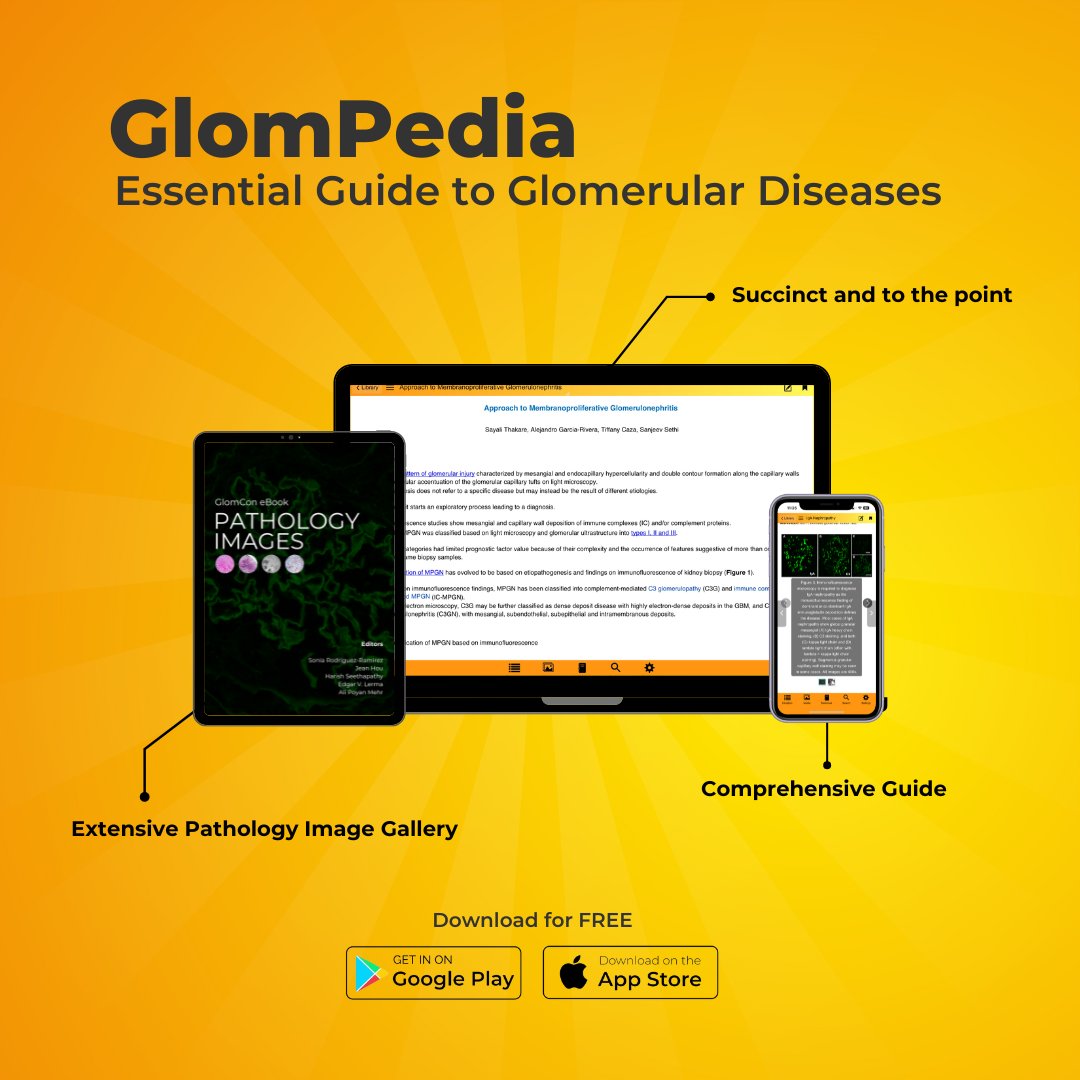 We are excited to announce the launch of GlomPedia 📖  The essential guide to glomerular diseases at your fingertips! 

GlomPedia is your go-to eBook library for diagnosing and managing glomerular diseases. 

👉 Download it for free today on the Apple App Store and Google Play.