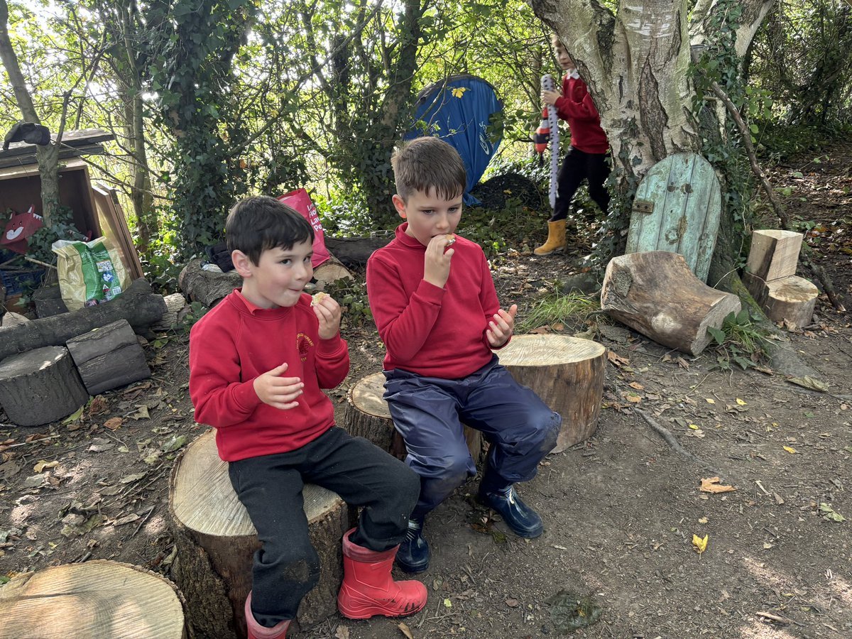 Cychwyn arbennig! Ysgol Gpedwig rhif 1 eleni a pawb wedi mwynhau gweld beth sydd wedi tyfu. Cafodd ein disgyblion amser ardderchog yn ymgyfarwyddo â'r ardaloedd a'r tŷ bach twt newydd.