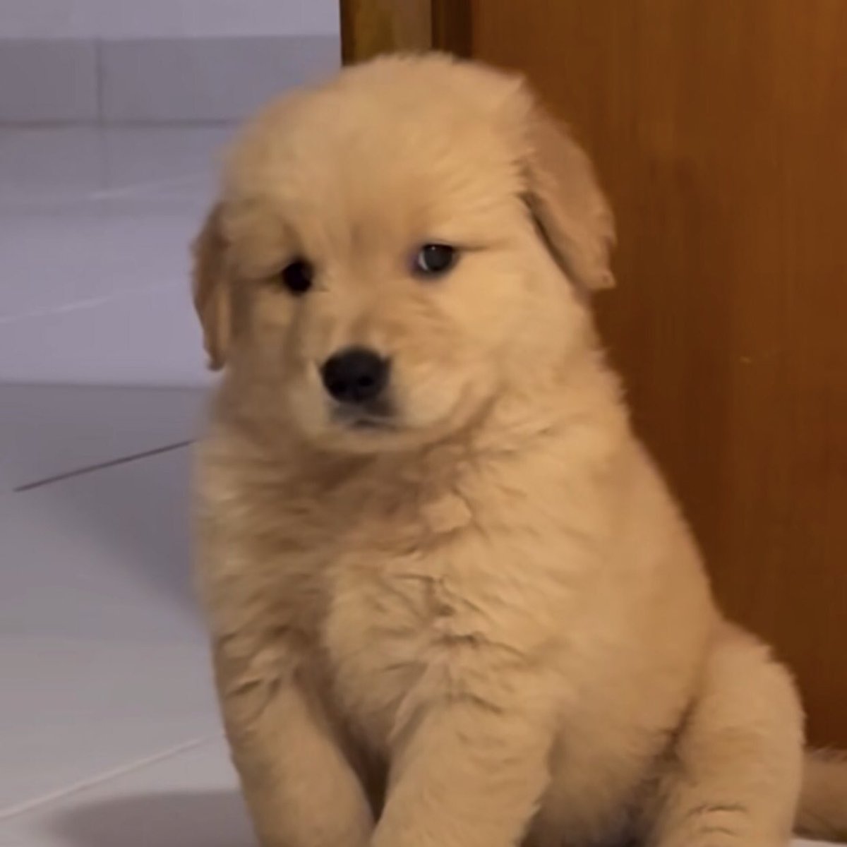 takemybear 🐶 tweet media