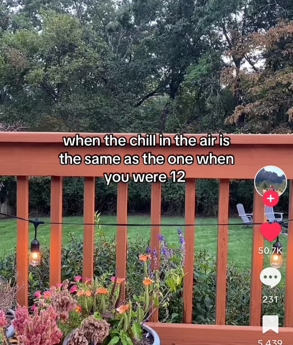 ✧ (@northstardoll) on Twitter photo 