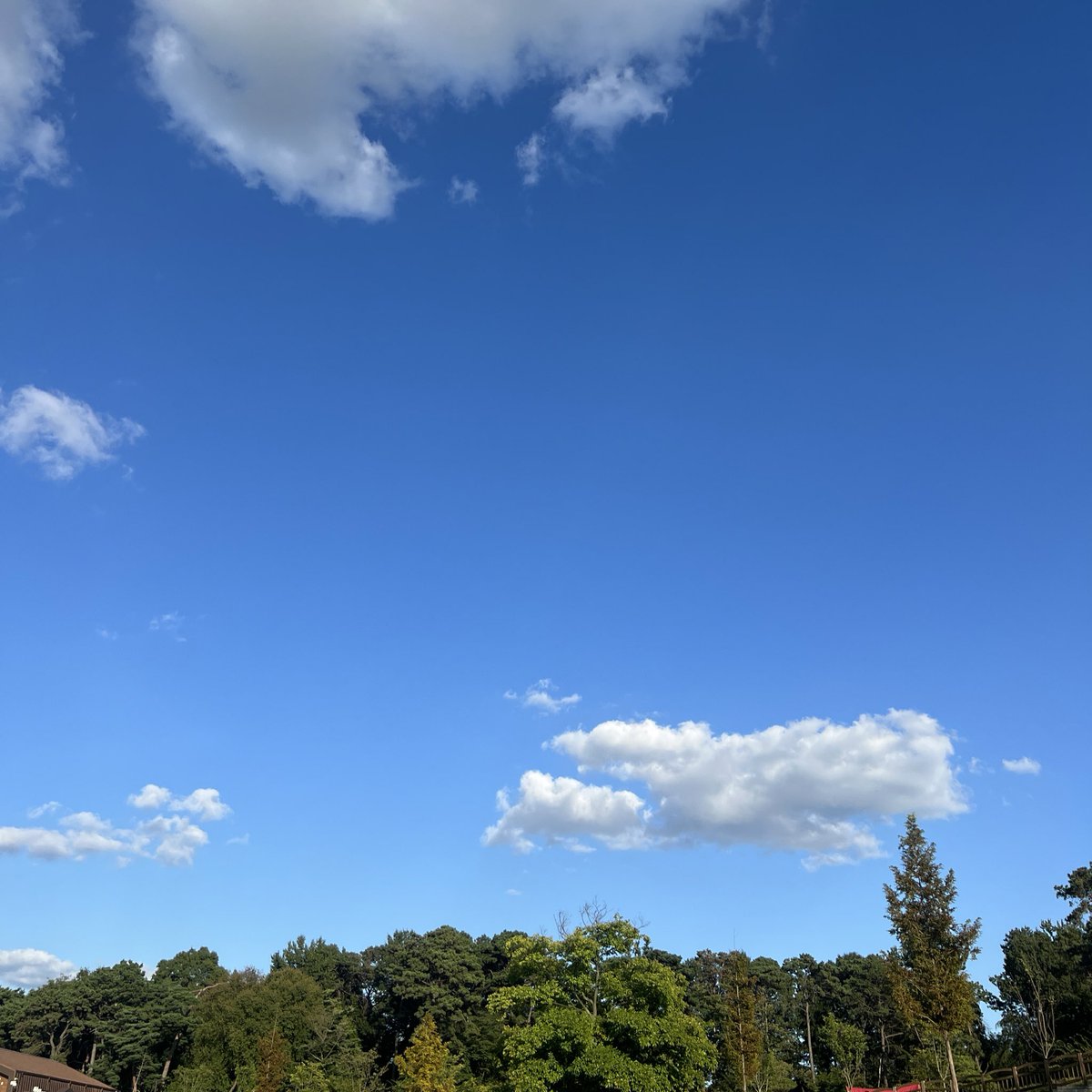 달리기 좋은 날 🌱