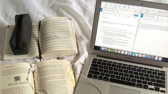 madeleine✶ tweet media