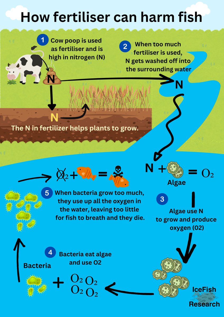 IceFish Research tweet media