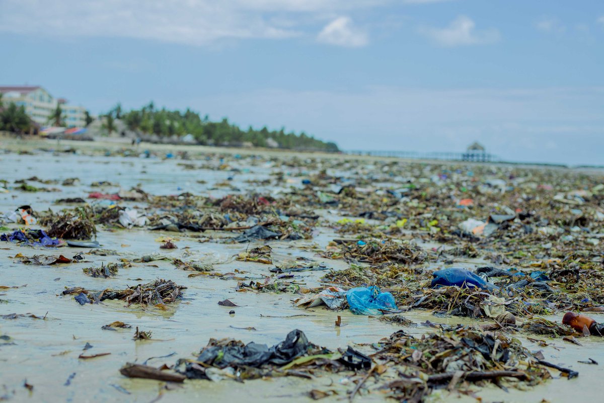 Mr_AbdiKhalifa's tweet image. Everyone deserve better even 
“The #Ocean 🌊,a reflection of our own interconnectedness, deserves our respect and care"Let's #Embrace sustainable practices to ensure its health for betterment of future generations.
 #NexGen #OceanConservation #OceanChamps #Oceanbees
#MbrcTanzania
