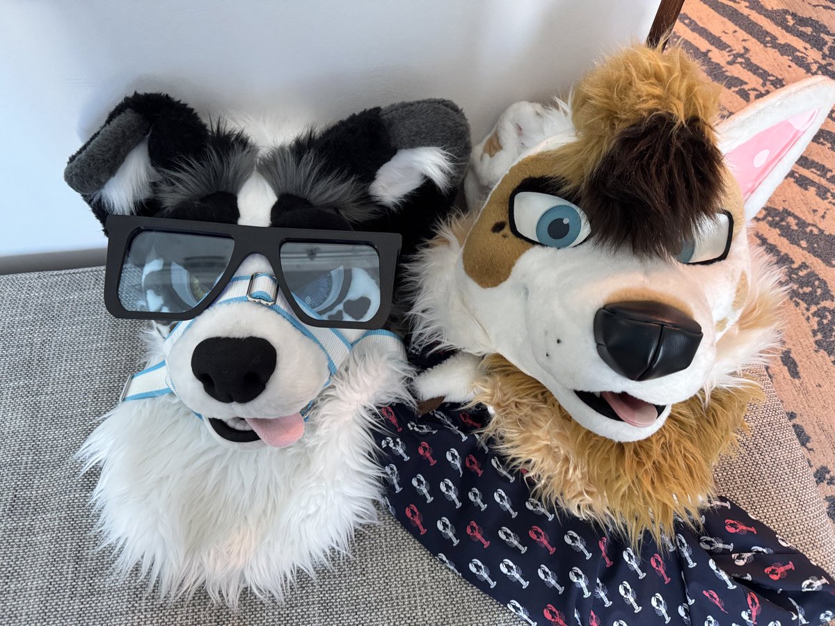 Brother in flops 🥰
<a href="/MerryMeerCollie/">MerryMeer</a>