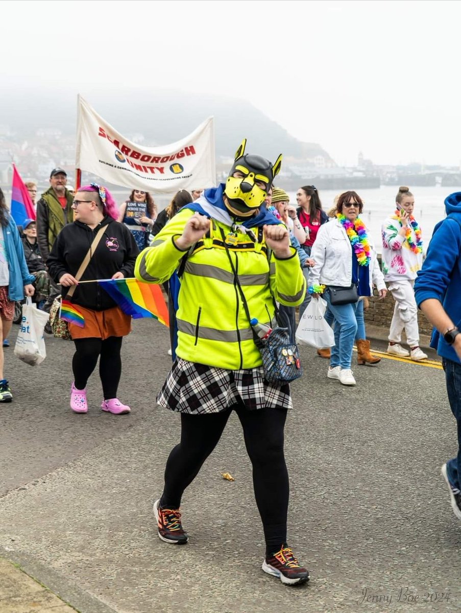 Pup Lowlander - Moved to Bluesky tweet media