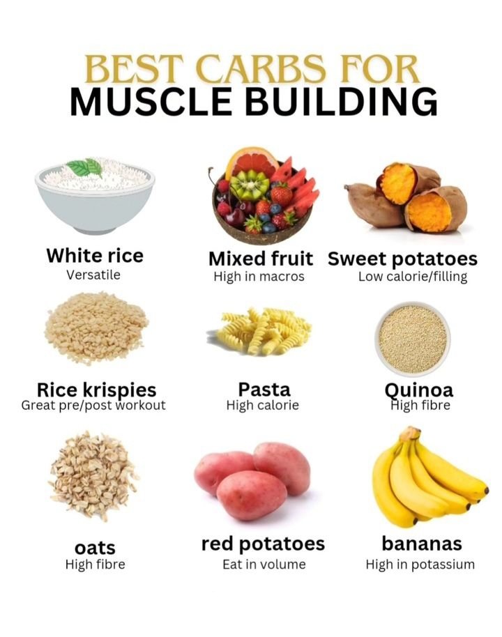 healthybodyhub_'s tweet photo. Best Carbs For Muscle Building 💯💪🥙 https://t.co/c1BW4wzFYQ